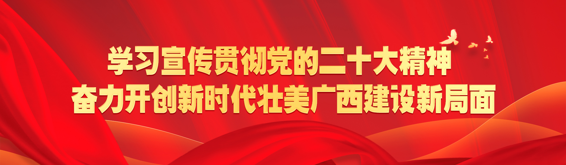 学习党的二十大