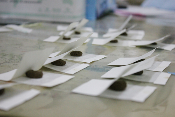 温阳驱寒正当时 传统中医疗法