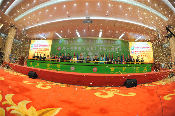 2013中国—东盟传统医药高峰论坛特色亮点纷呈
