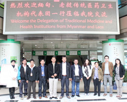 缅甸老挝传统医药卫生机构代表团莅临我院参观交流