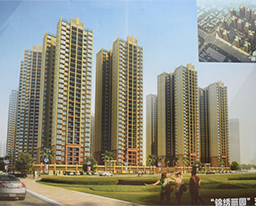 唐友明书记到广西蚕业总站危旧房改住房改造项目调研