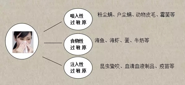 过敏性鼻炎 规范治疗是关键