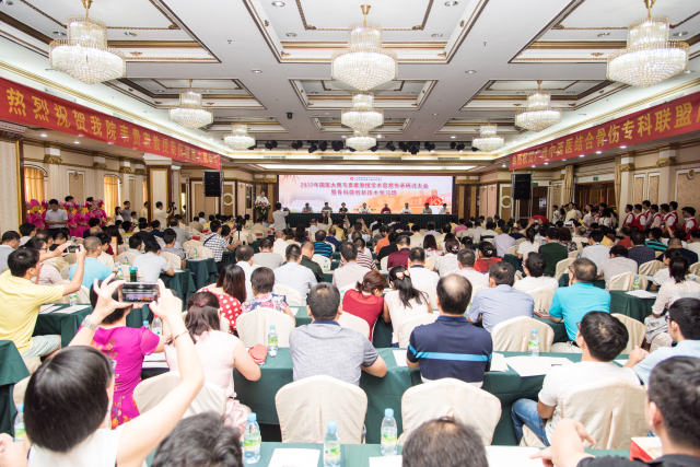 弘扬大师精神 推动学术传承——2017年国医大师韦贵康教授学术思想传承研讨大会暨骨科微创新技术学习班在邕召开