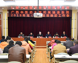 我院召开2018年党（总）支部换届工作会