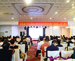 田阳院区开展中医适宜技术培训为基层医生“充电”