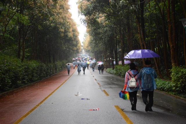 我院开展三八妇女节“我运动、我健康、我快乐”健步走活动