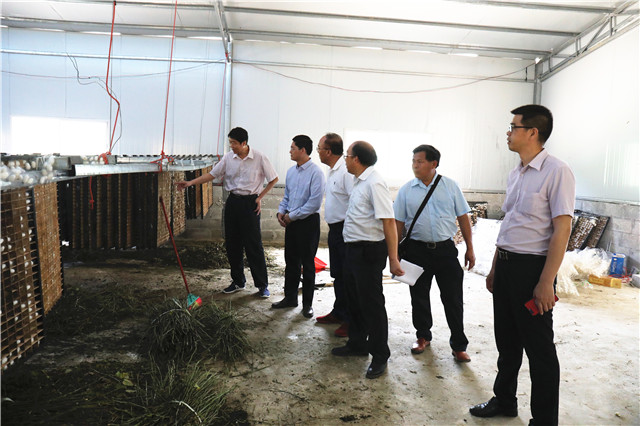 学校领导到隆安县扶贫点开展扶贫调研慰问活动