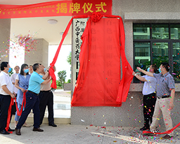 田阳院区正式挂牌百色市田阳区中医医院