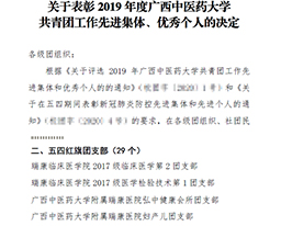 喜讯：我院多个集体和个人荣获2019年度广西中医药大学共青团工作先进集体、优秀个人