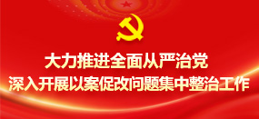 大力推进全面从严治党 深入开展以案促改问题集中整治工作