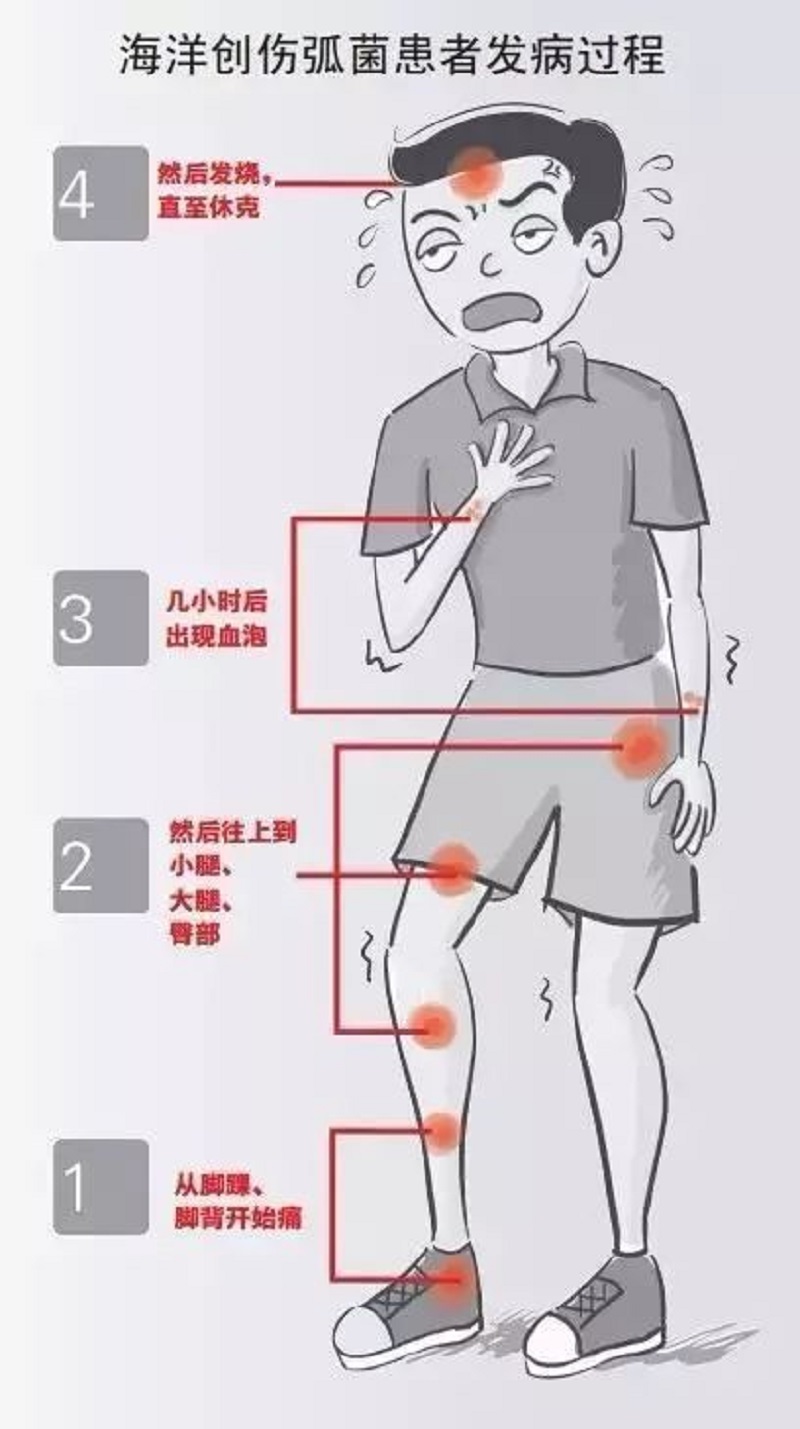 b6951441fb664e059aa83adc95100026.jpeg b6951441fb664e059aa83adc95100026.jpeg