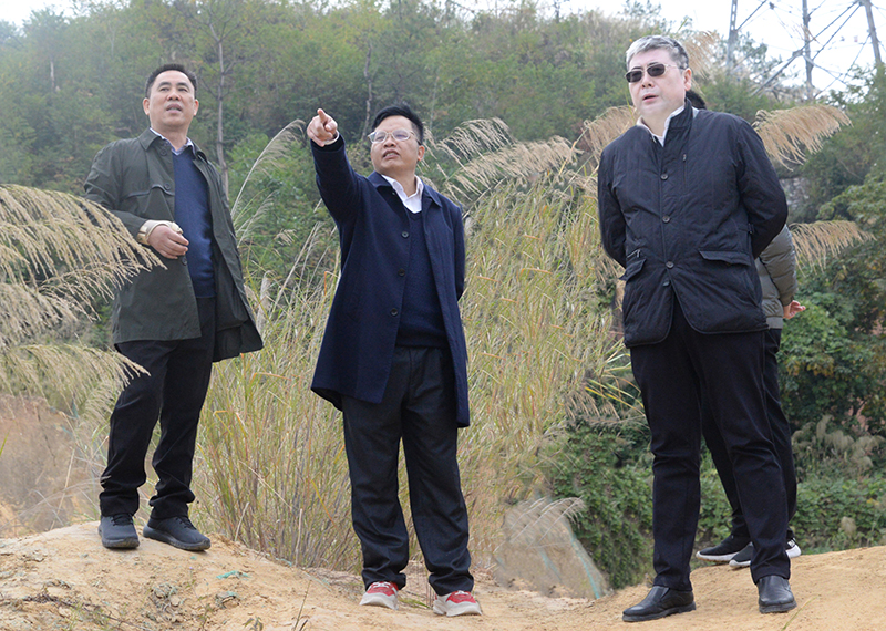 何刚亮总会计师带队到我院凤岭南医院建设项目现场办公