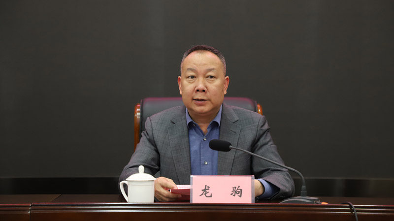 执行院长龙驹致辞.jpg