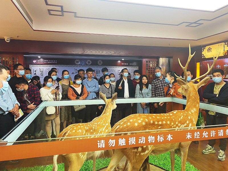 广西中医骨干人才培训班学员参观我院中医特色科室