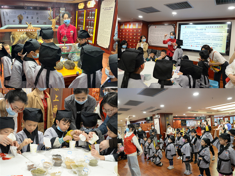 传承精华 守正创新——我院举办“小郎中”体验中医药文化科普主题活动