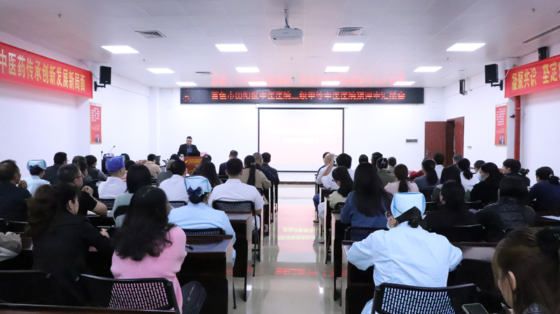 以问题为导向 全力冲刺“二甲”评审——我院评审专家组到田阳分院开展二甲预评审