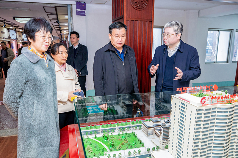 自治区人大常委会专题调研组莅临我院调研