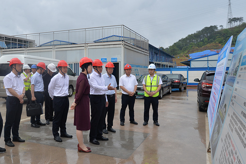 自治区副主席许显辉率队到瑞康医院凤岭南医院建设项目工地调研指导
