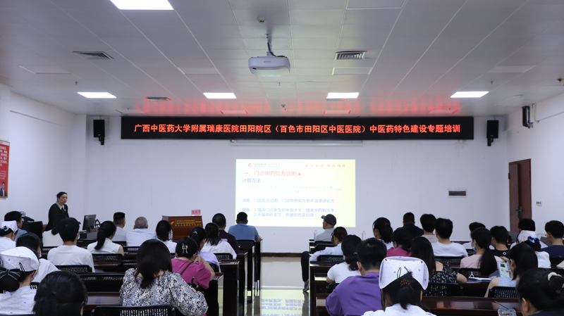 田阳分院开展中医药特色建设专题培训