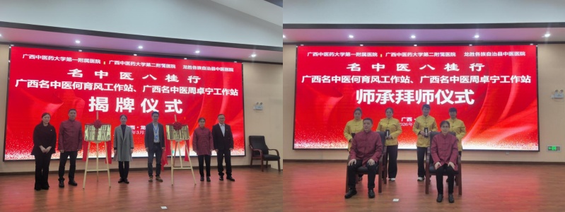 名中医八桂行——我院周卓宁名中医团队赴龙胜各族自治县中医医院开展系列活动